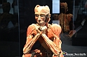 VBS_2969 - Mostra Body Worlds